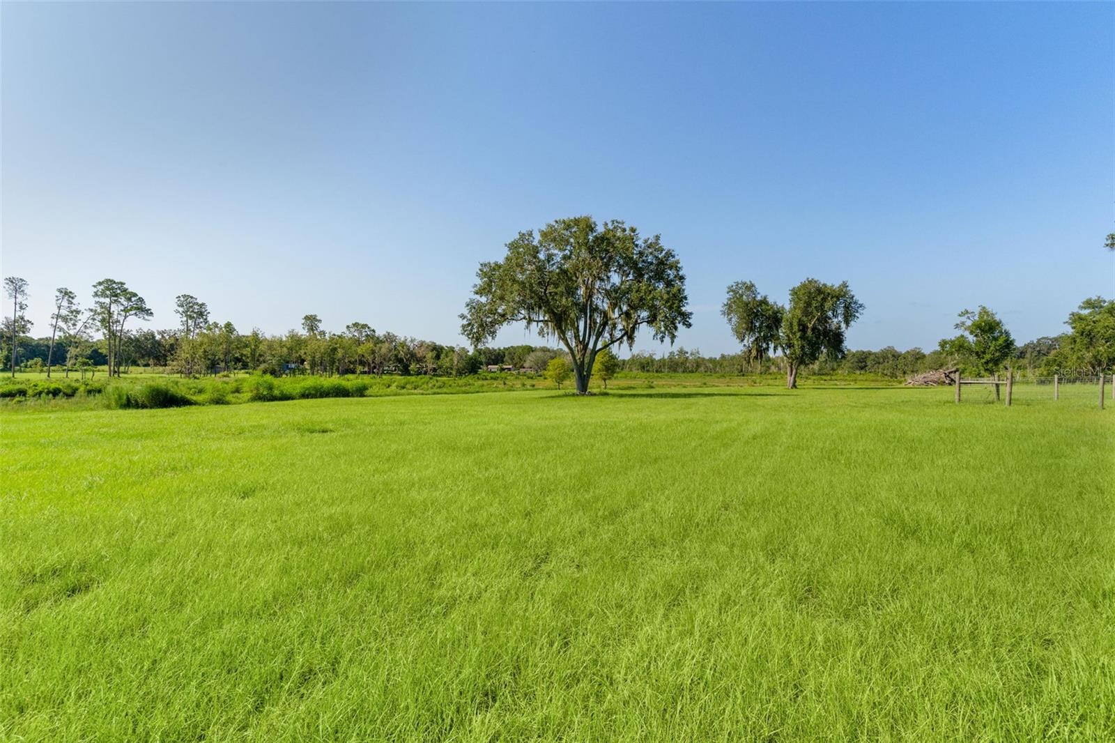 16215 DOUGLAS ROAD, Groveland, FL 34736