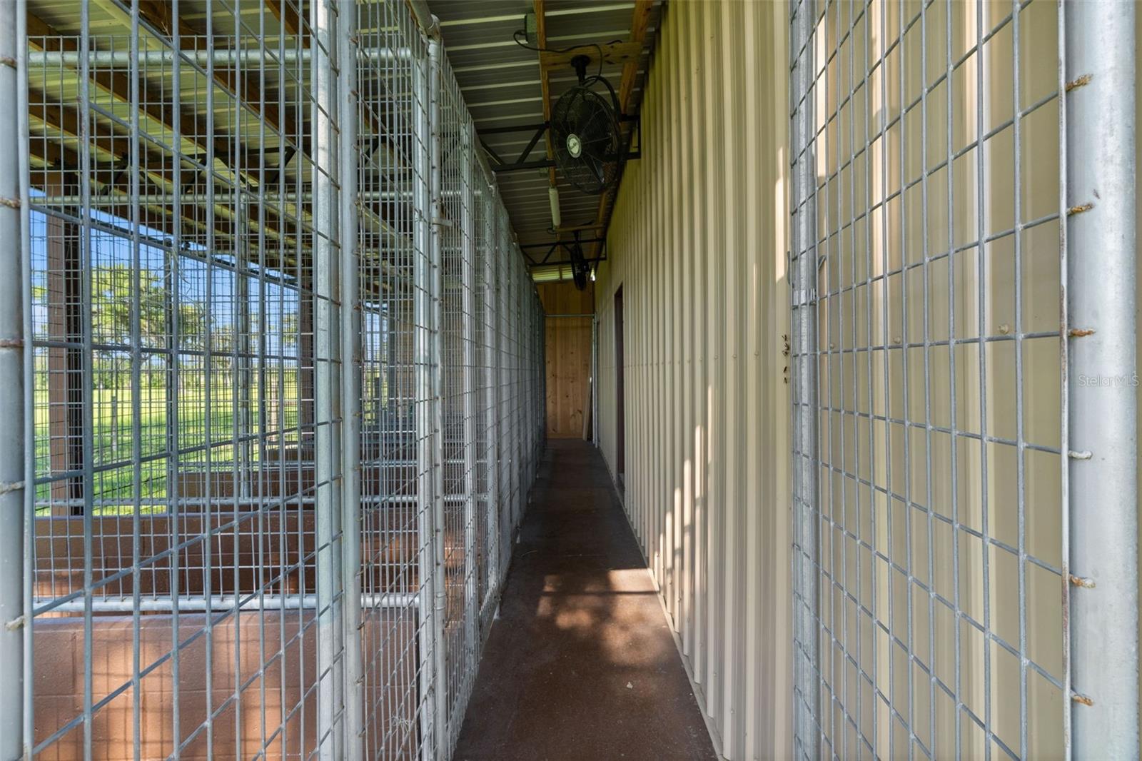 Walk way to dog kennel