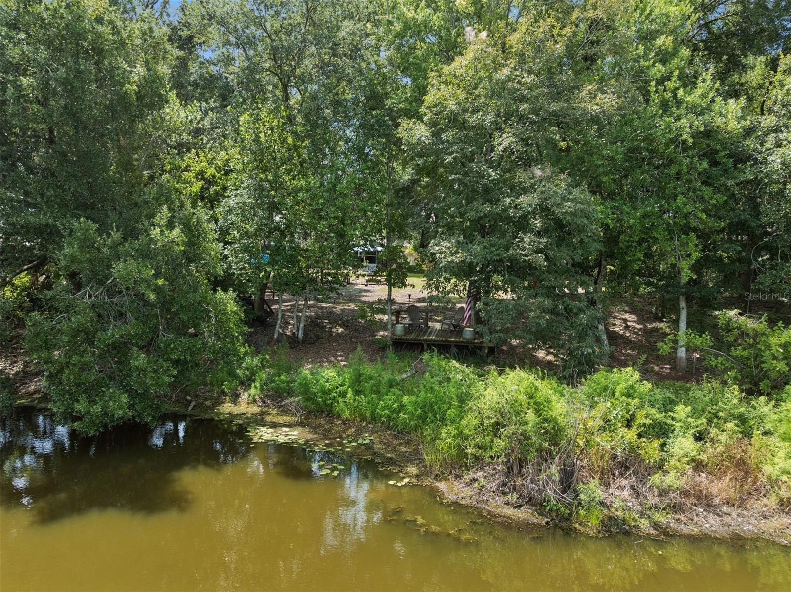 Pond View