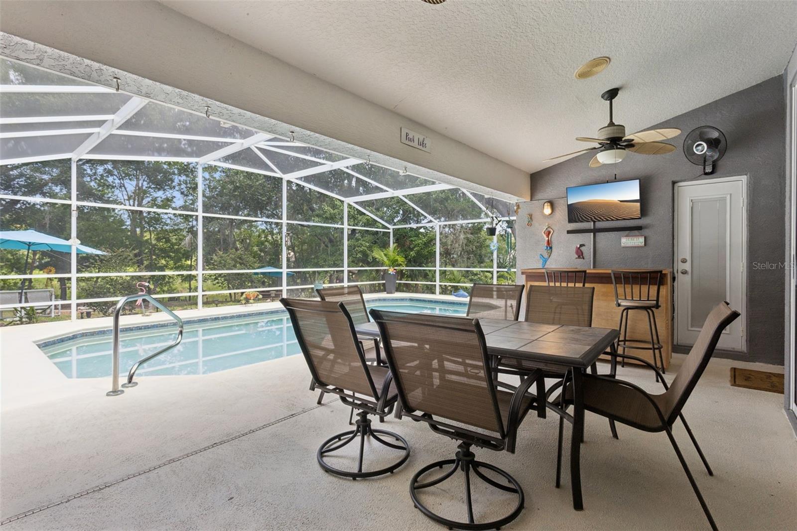 Pool/Lanai
