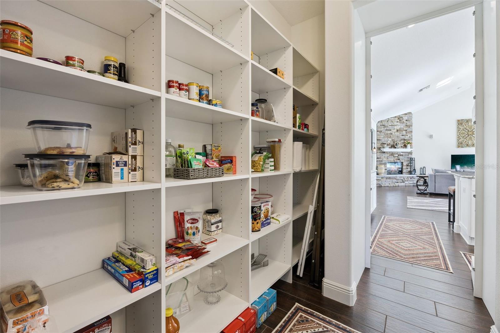Hidden Pantry (Behind Builtin Cabinet Doors)