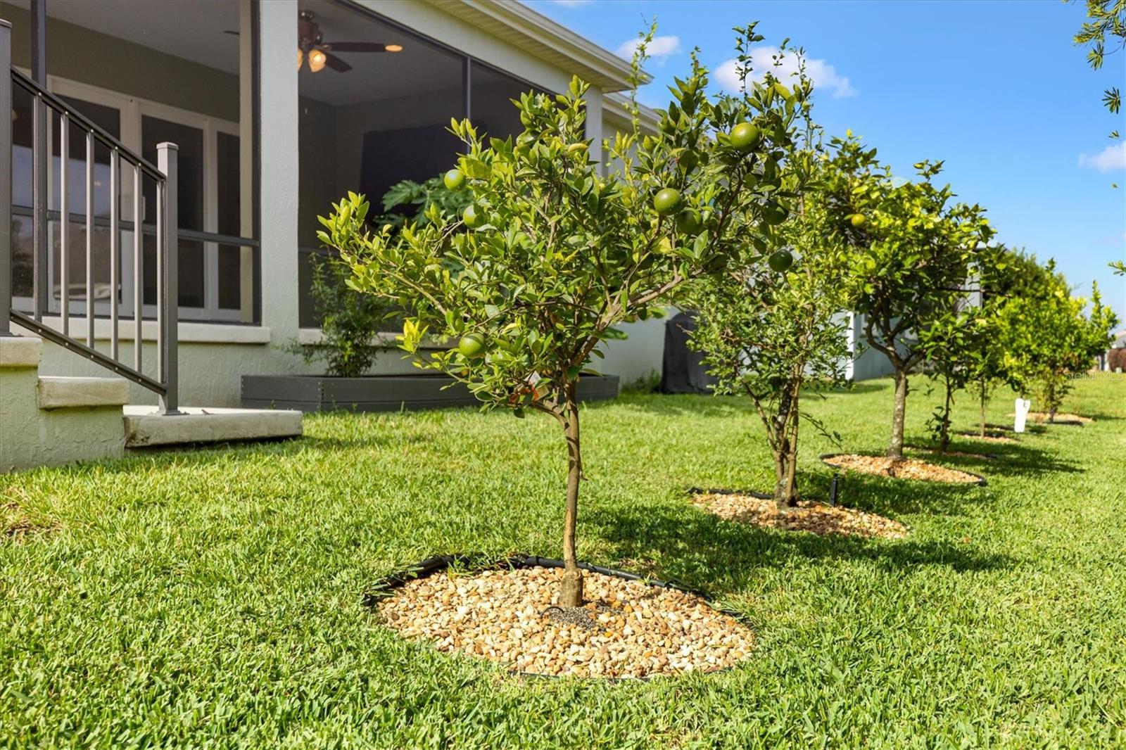 575 RANDALL ROAD, The Villages, FL 32163