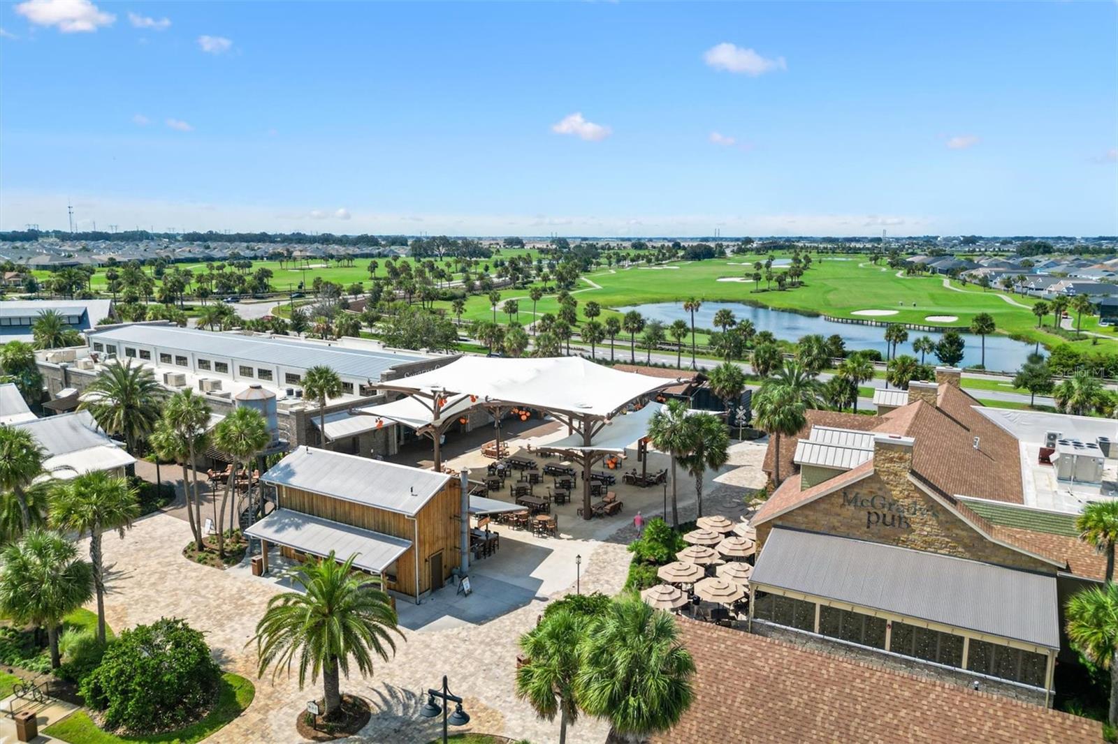 Sawgrass Grove