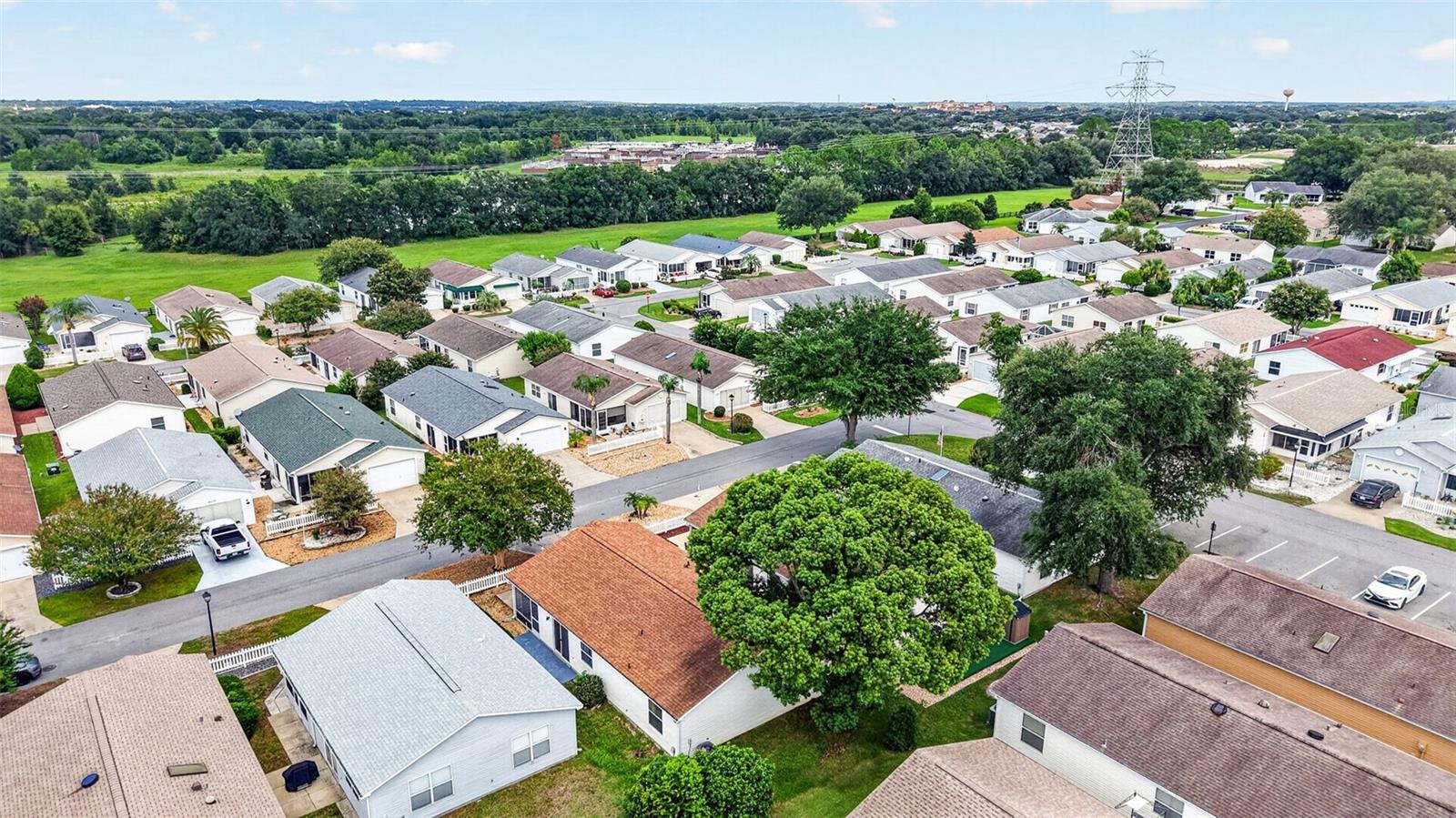 1606 CAMPOS DRIVE, The Villages, FL 32162