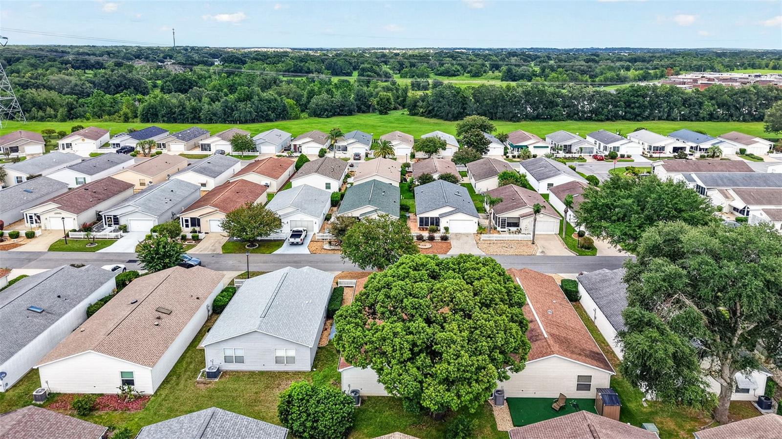 1606 CAMPOS DRIVE, The Villages, FL 32162