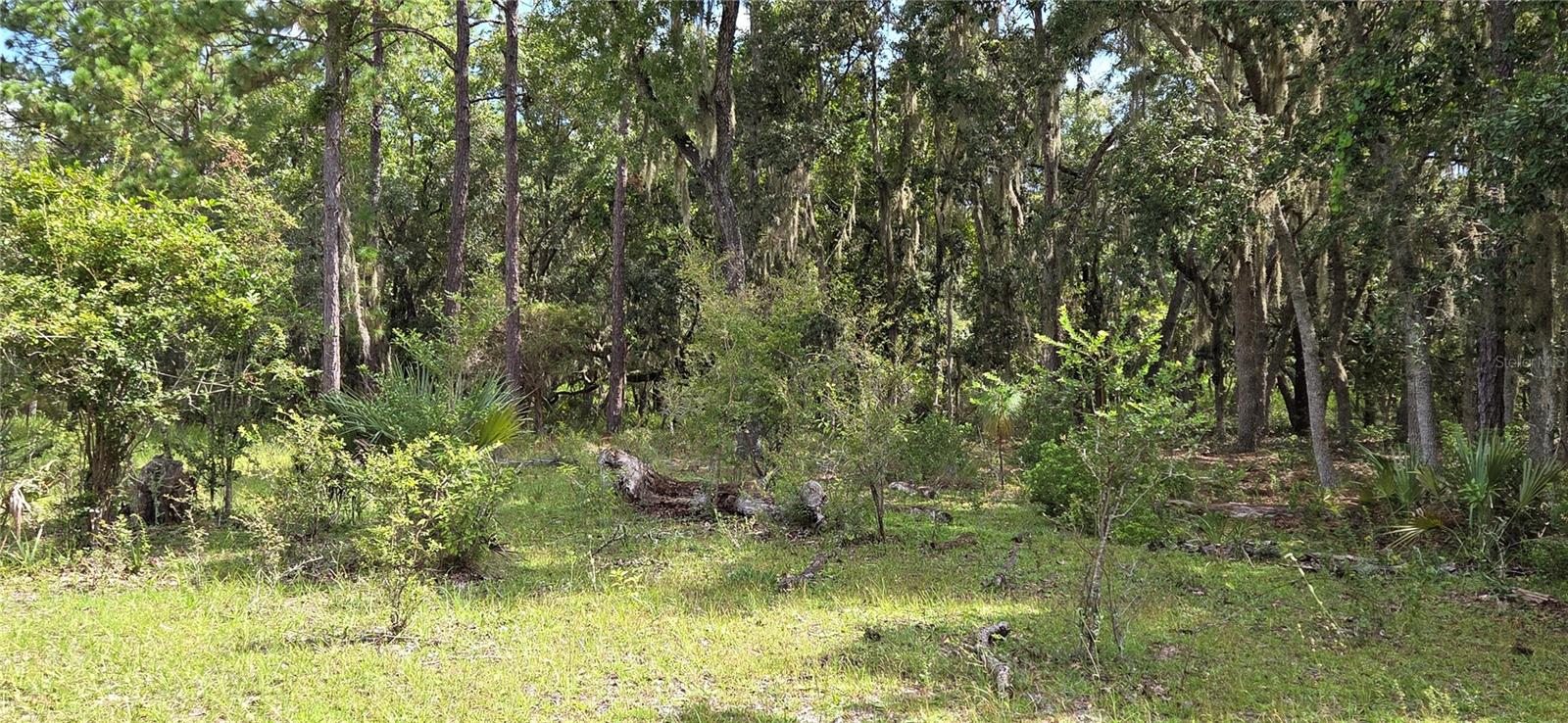 10442 E MOCCASIN SLOUGH ROAD, Inverness, FL 34450