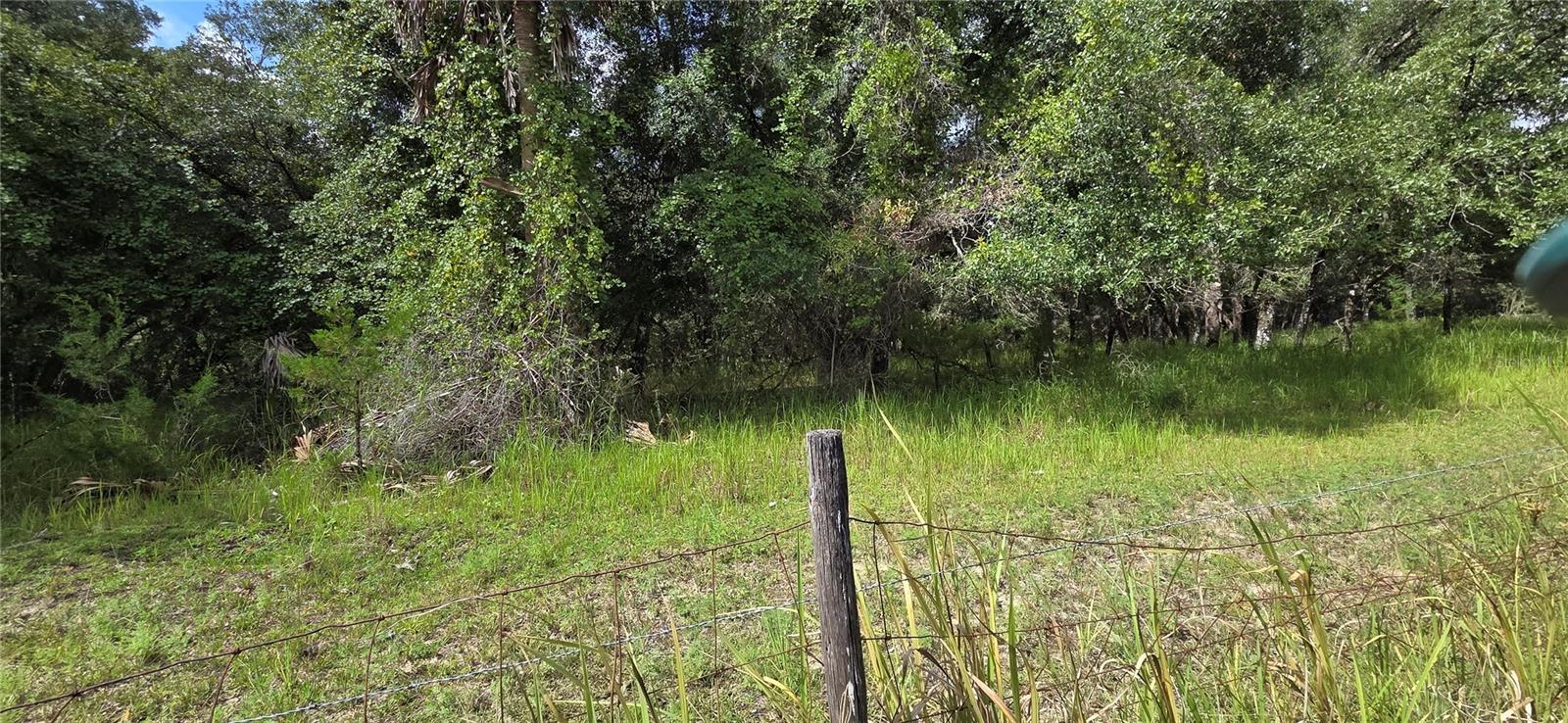 10442 E MOCCASIN SLOUGH ROAD, Inverness, FL 34450