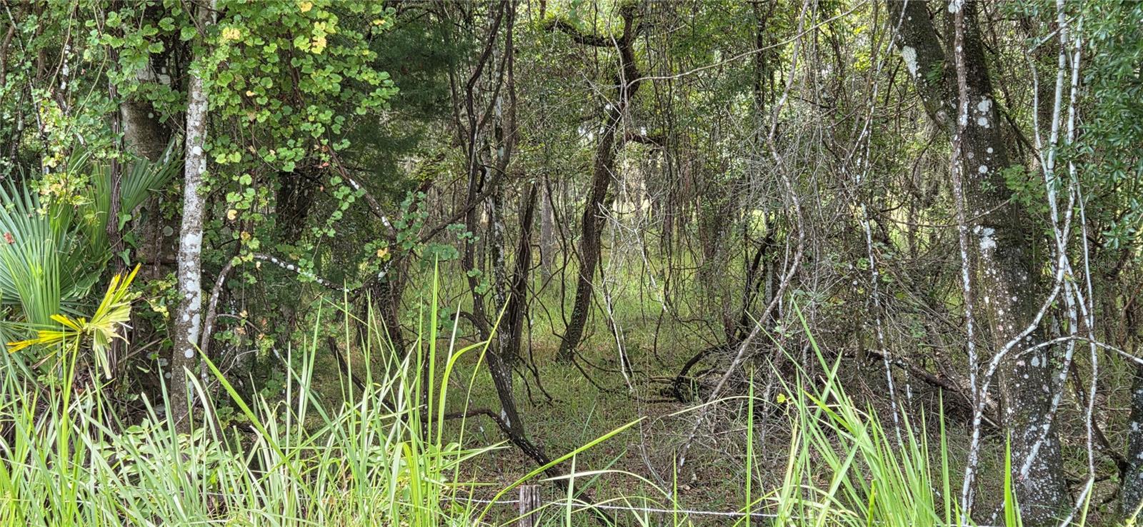10442 E MOCCASIN SLOUGH ROAD, Inverness, FL 34450