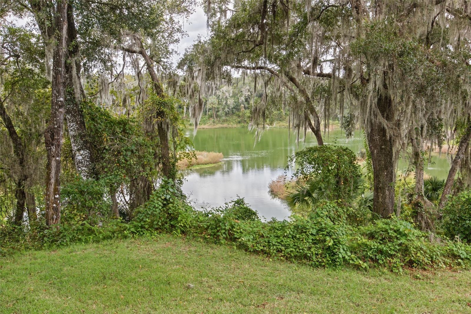 Water view