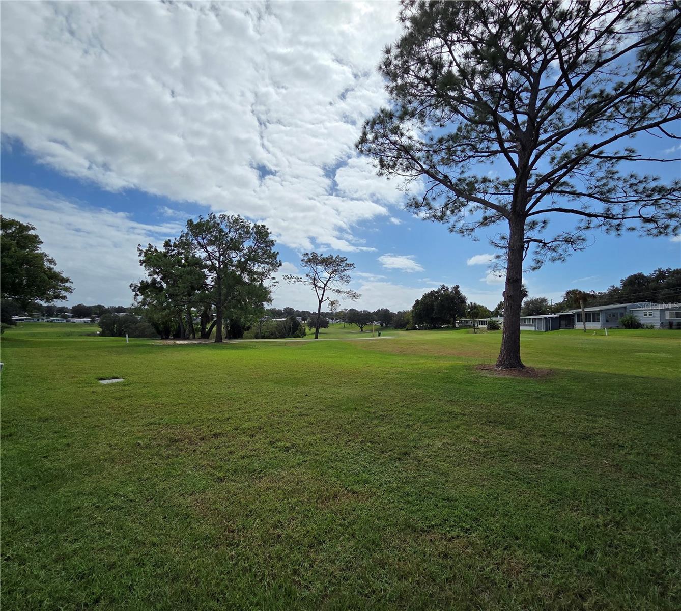 2430 FAIRBLUFF ROAD, #1556, Zellwood, FL 32798