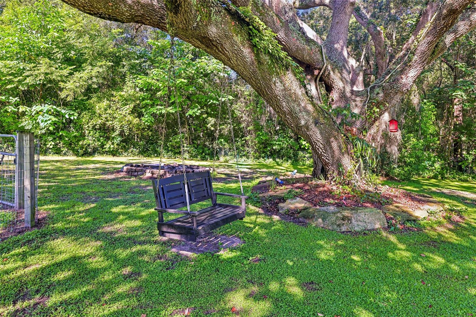 22301 CORONADO SOMERSET DRIVE, Sorrento, FL 32776
