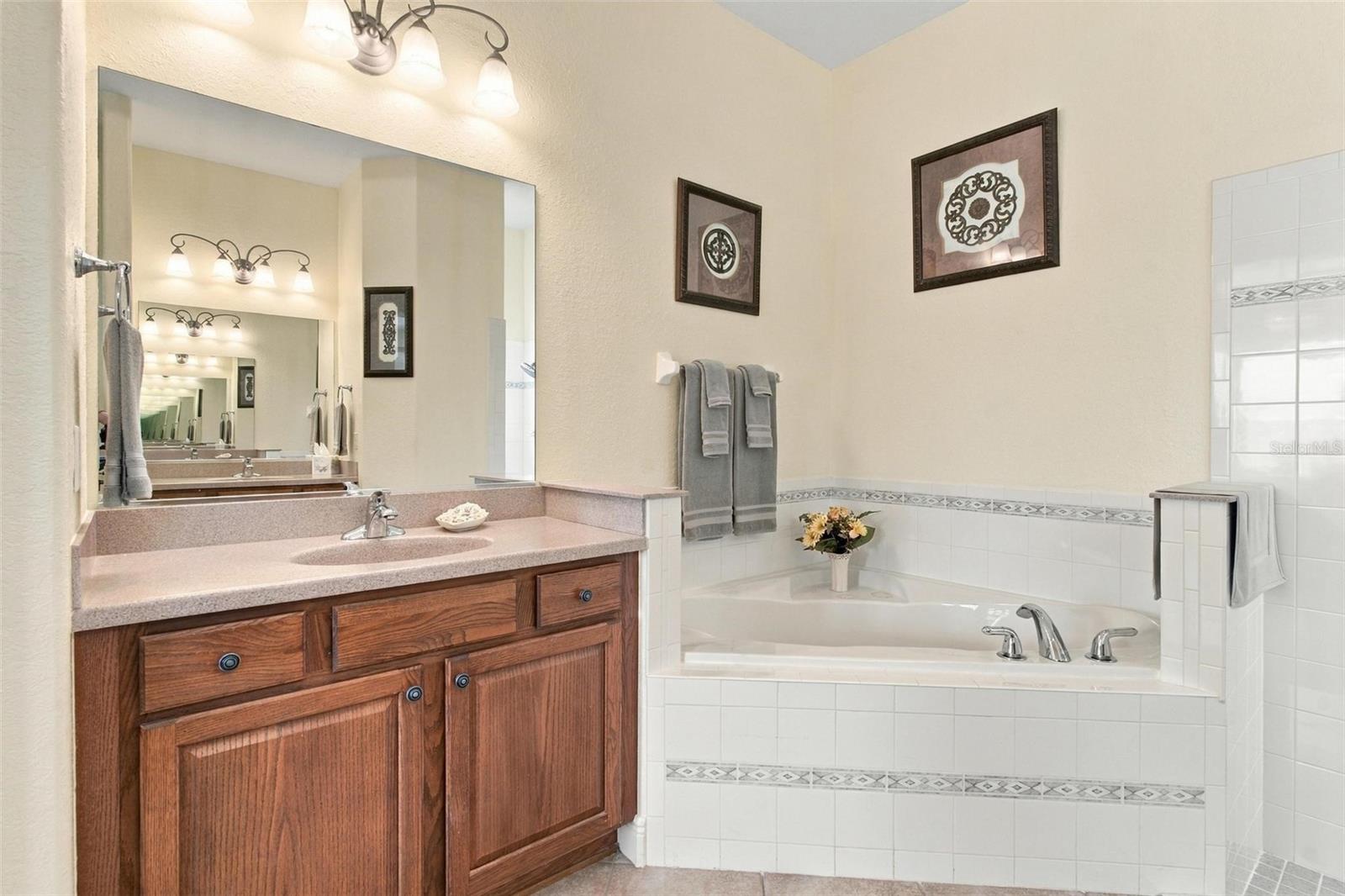 Primary bathroom with spa inspired soaking tub.