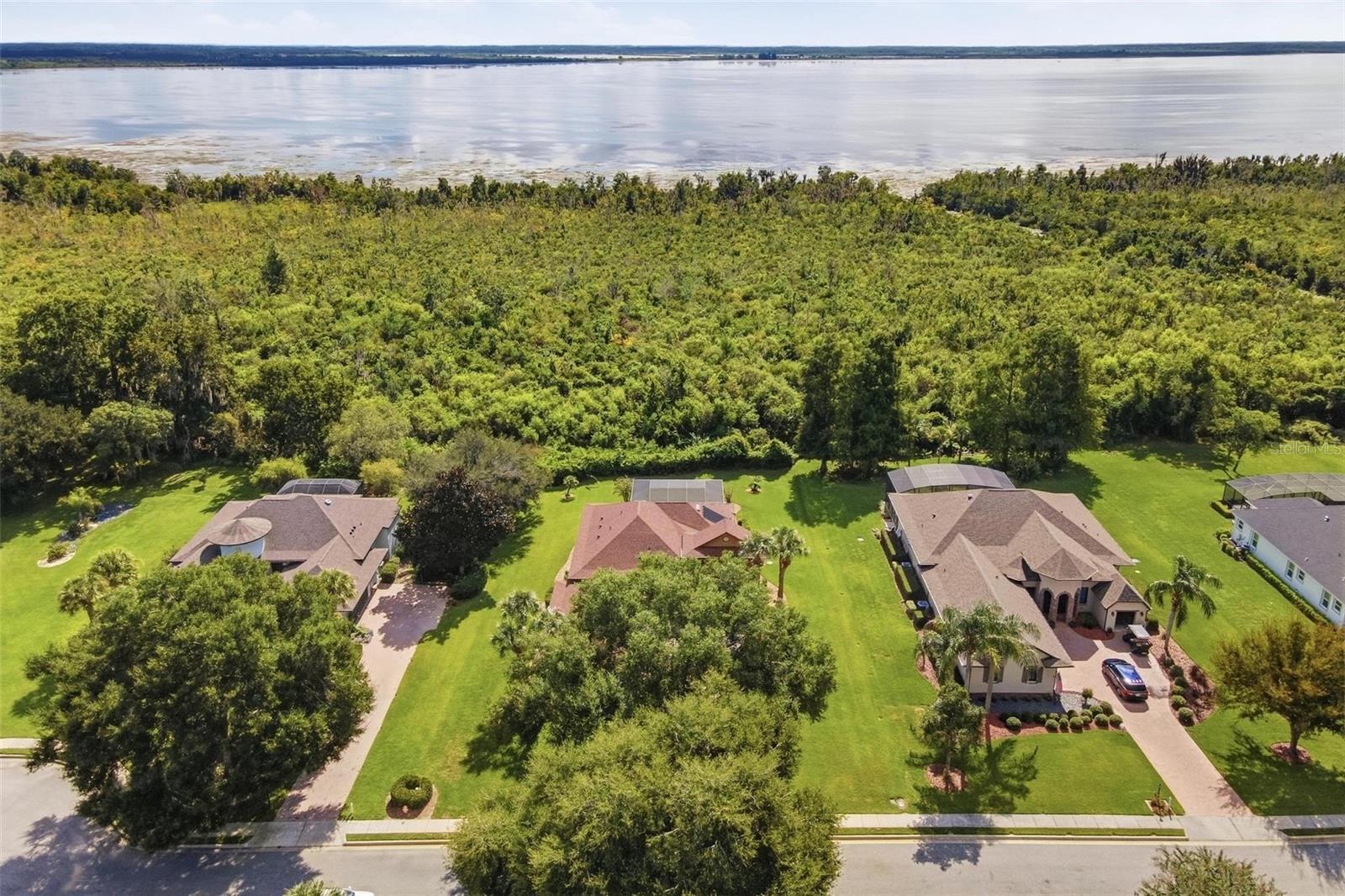 Ariel of your very own view of back yard.