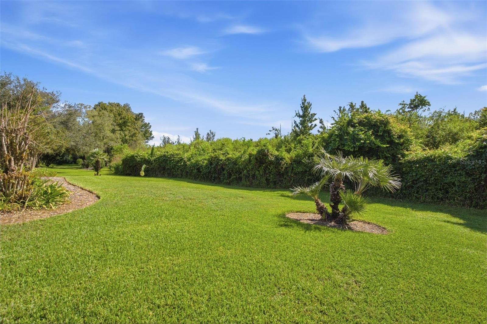 View of your quiet backyard!