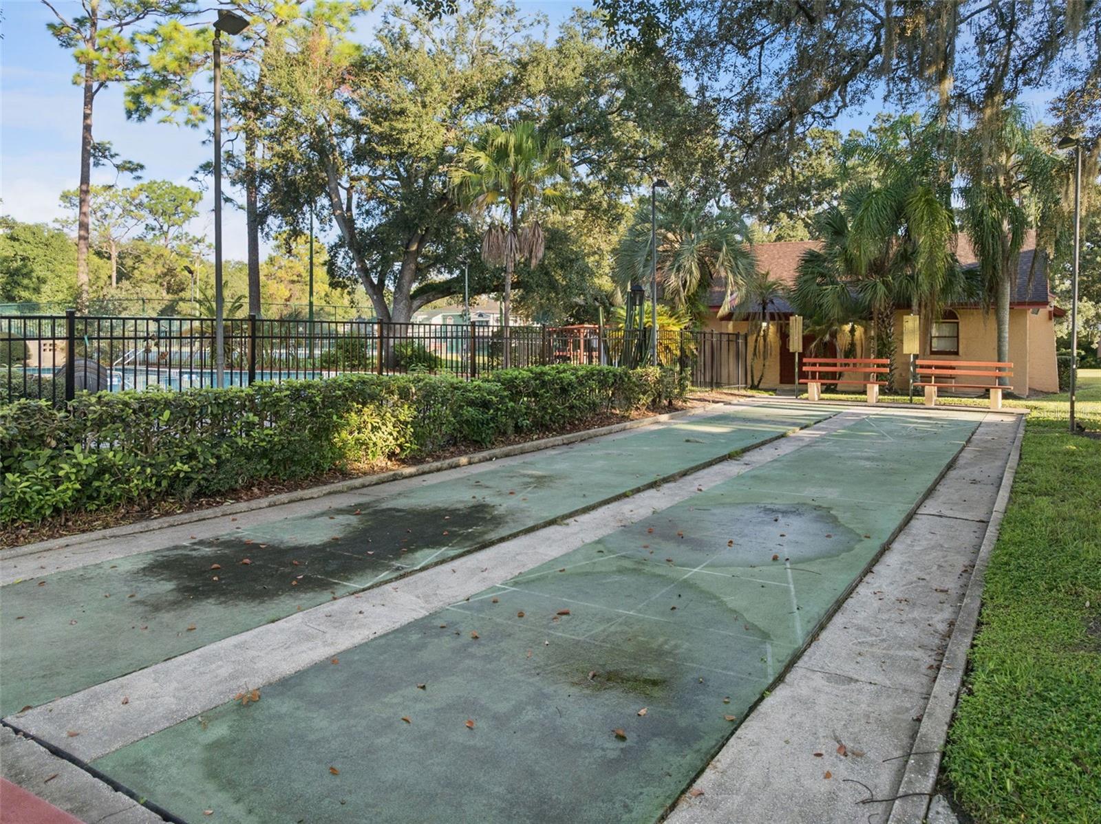 Shuffleboard Court