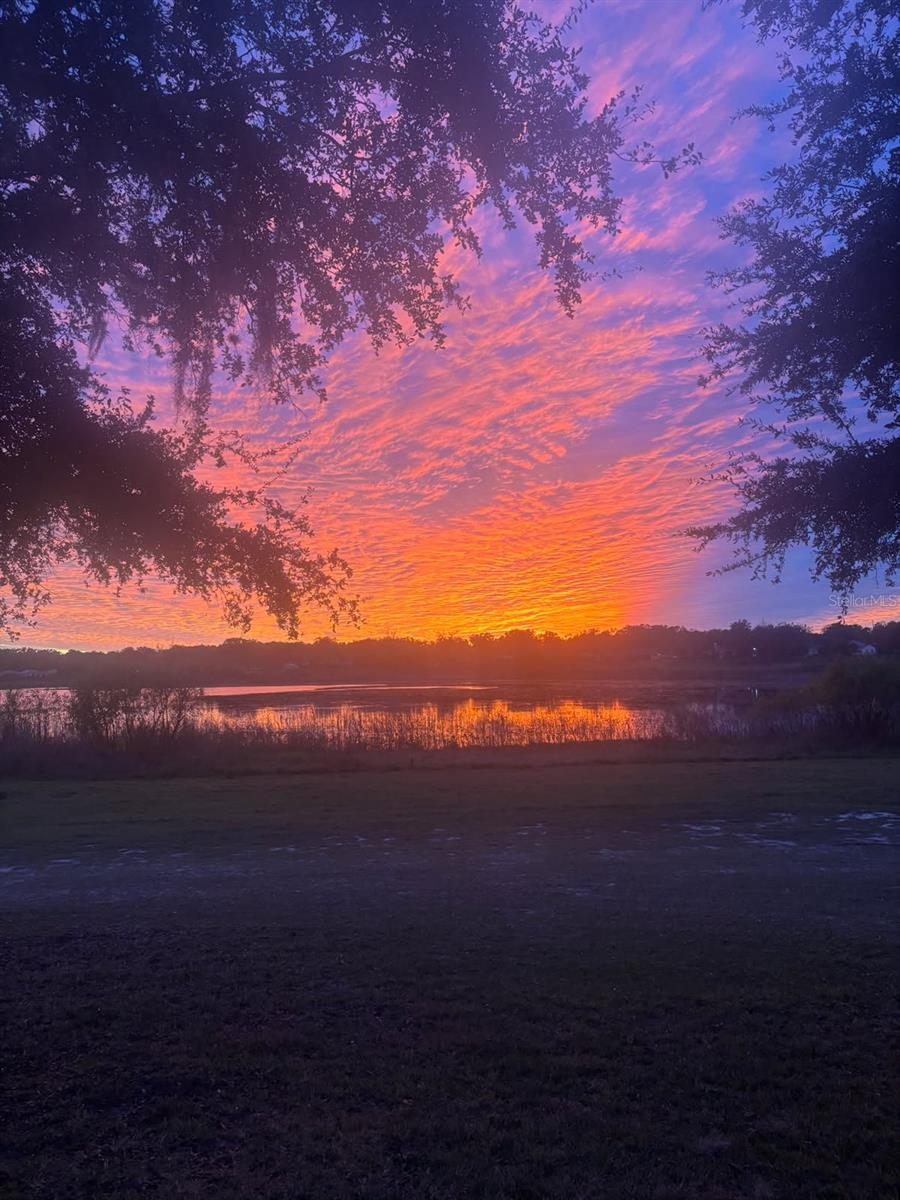 From your spacious paver patio, watch the glorious sunsets unfold over large Lake Alden with no rear neighbors in the way. From your spacious paver patio, watch the glorious sunsets unfold over large Lake Alden with no rear neighbors in the way.