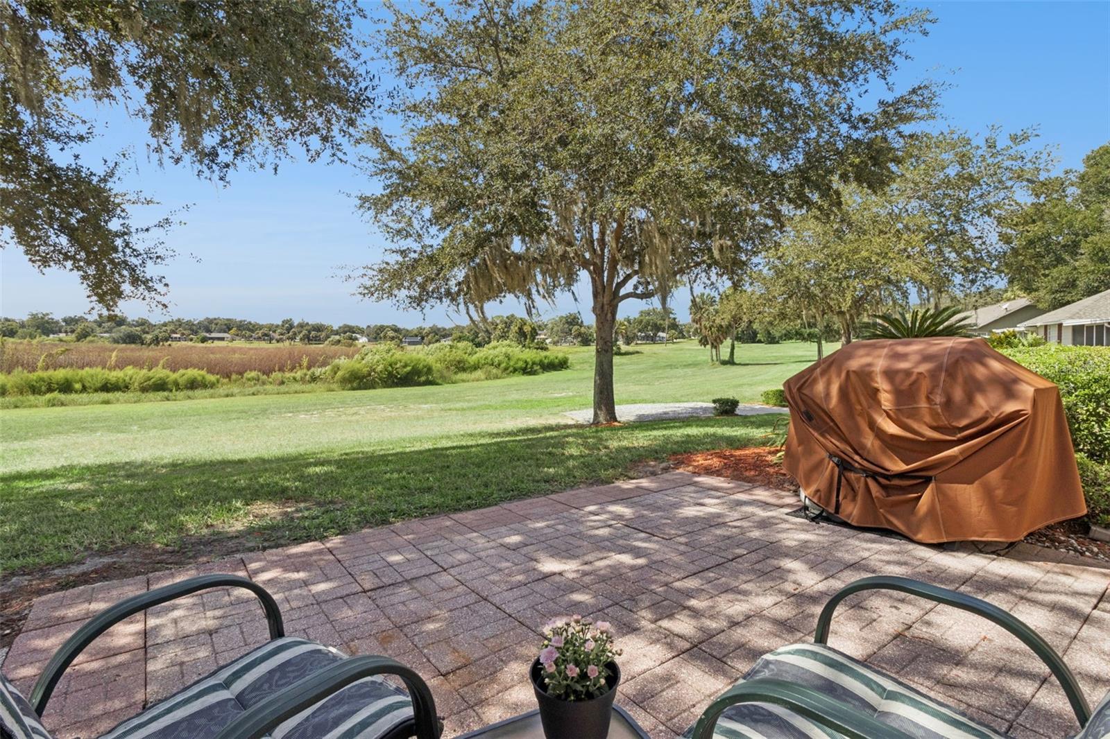No rear neighbors in the way of your sprawling backyard view.