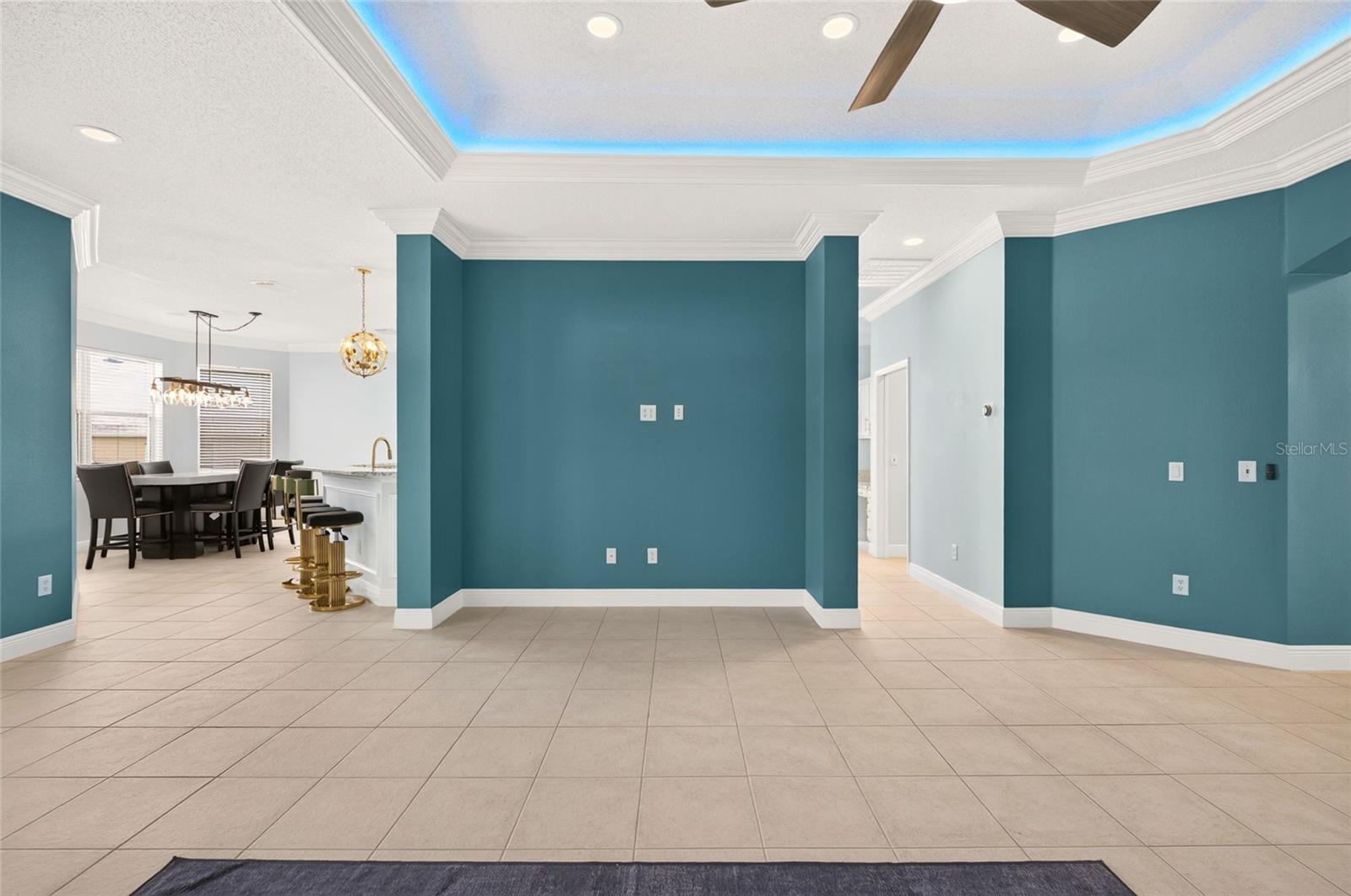 349 PACOLET TERRACE, The Villages, FL 32162