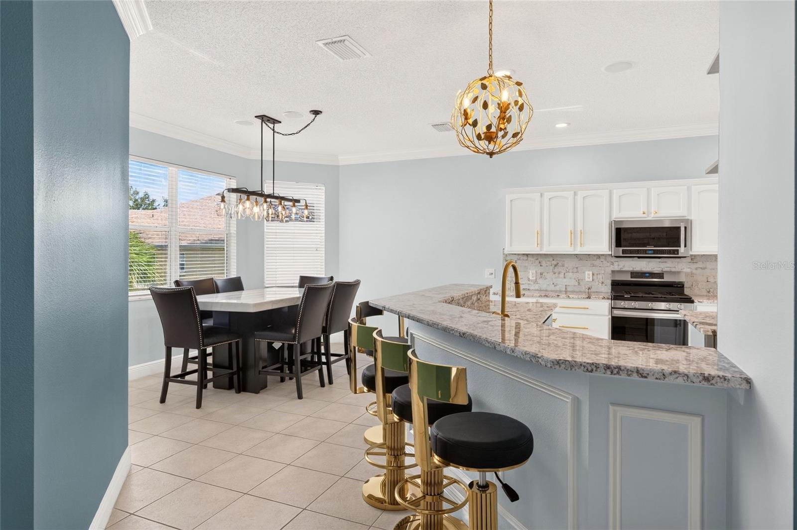 349 PACOLET TERRACE, The Villages, FL 32162