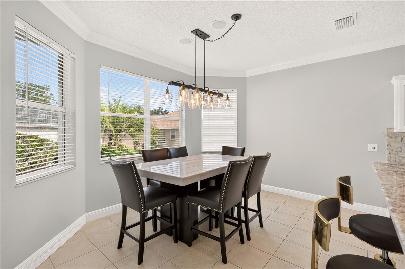 349 PACOLET TERRACE, The Villages, FL 32162