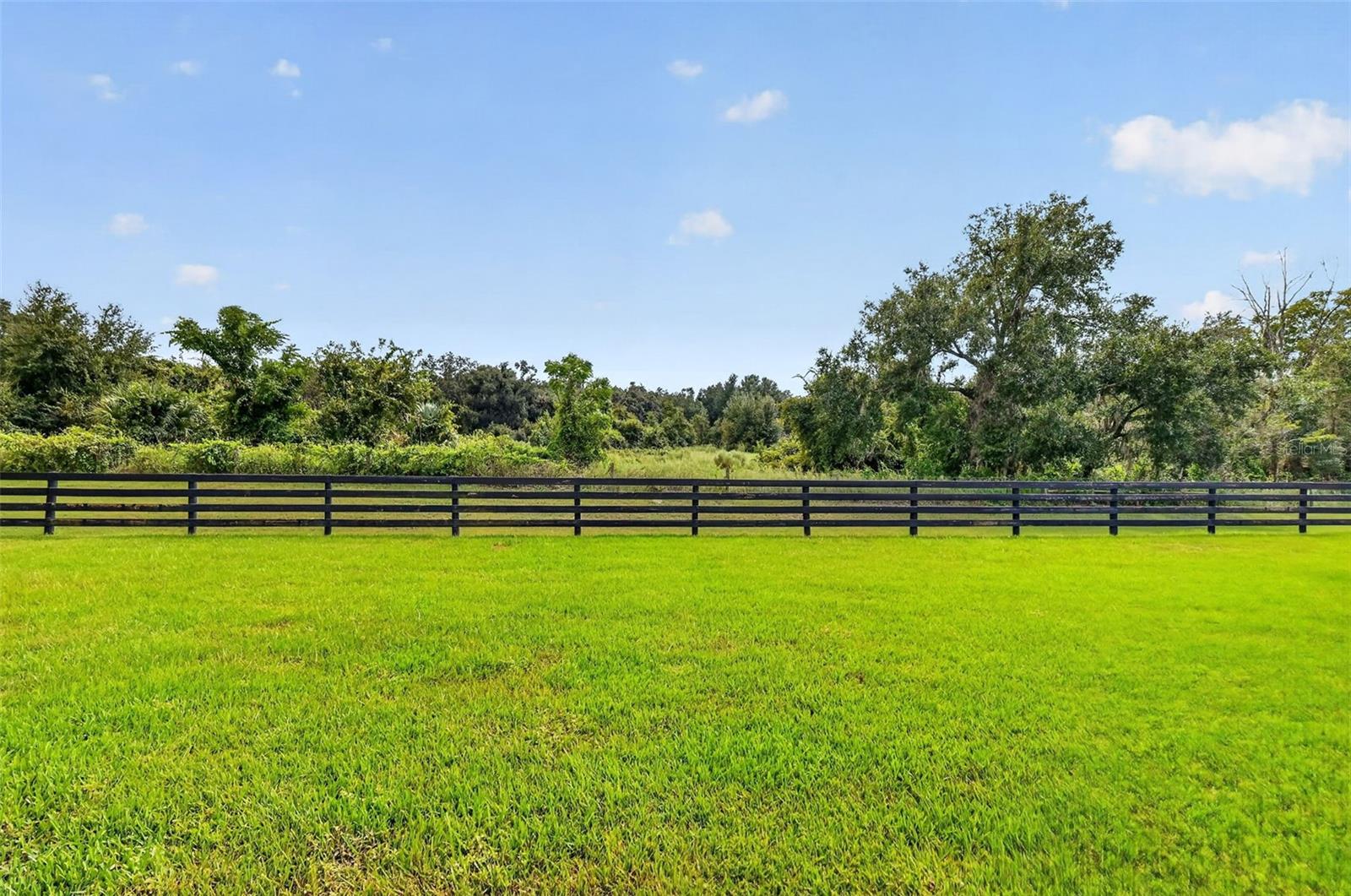 Spacious Rear Yard with PRIVATE PRESERVE VIEWS and ROOM FOR A POOL!