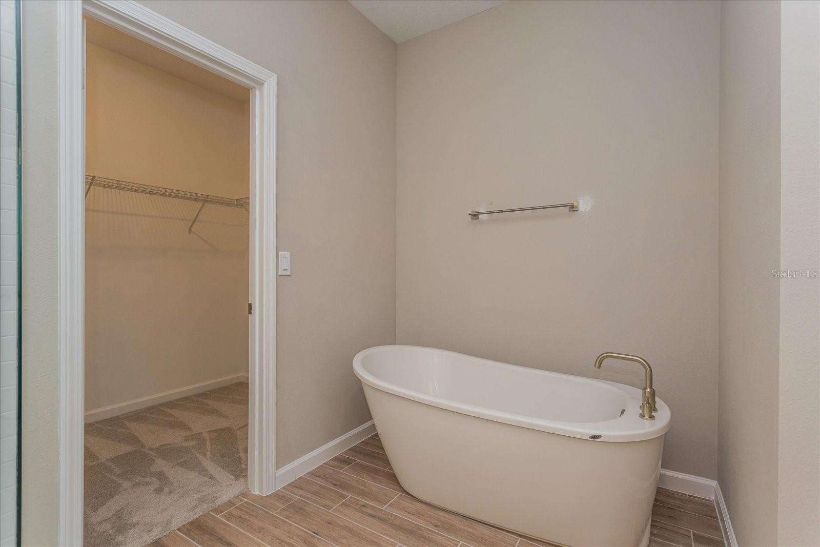 13326 PEACEFUL MELODY DRIVE, Winter Garden, FL 34787