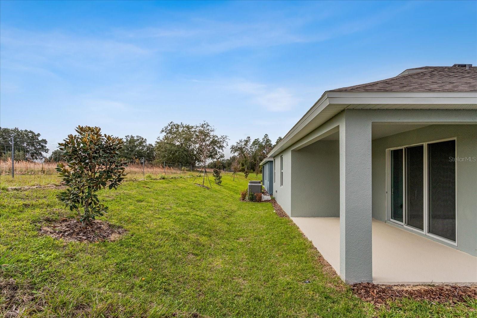 13326 PEACEFUL MELODY DRIVE, Winter Garden, FL 34787
