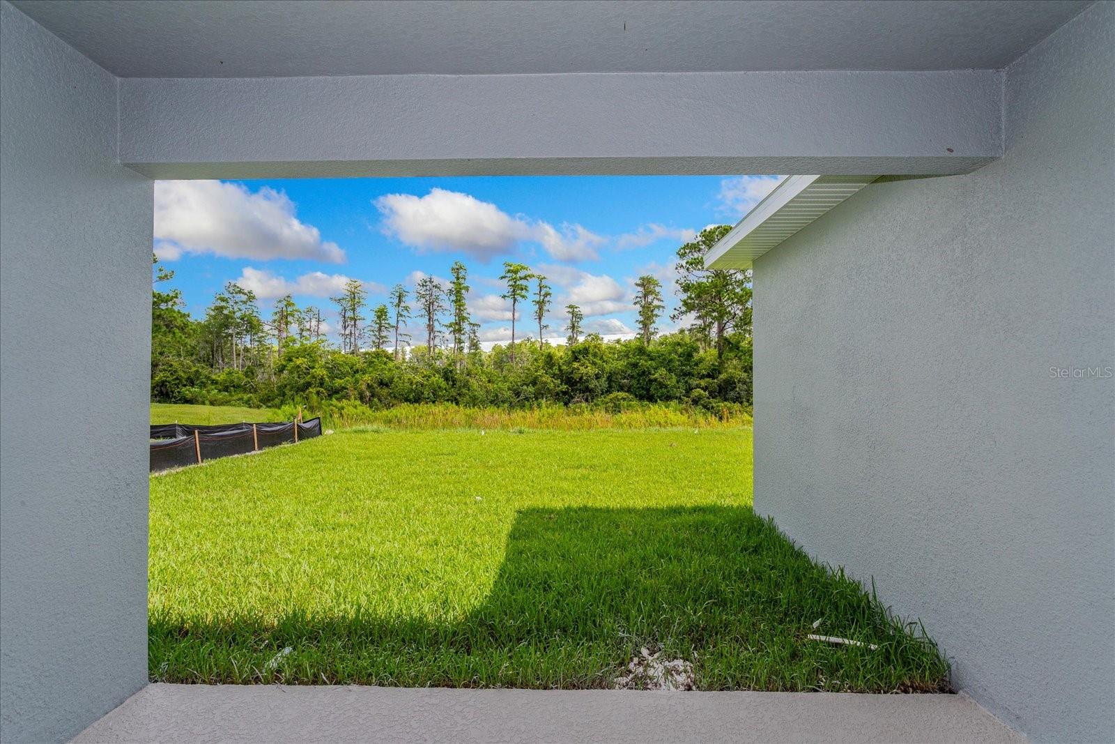 13344 PEACEFUL MELODY DRIVE, Winter Garden, FL 34787