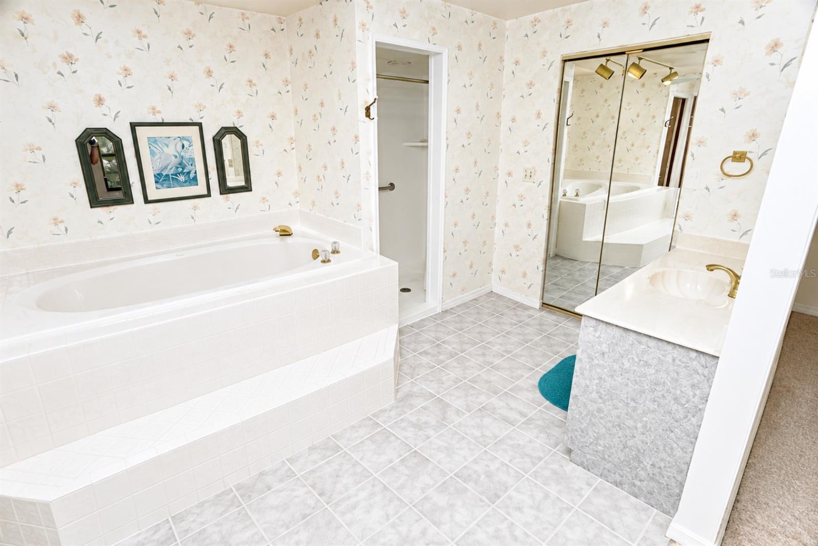 Master Bath Double Sinks
