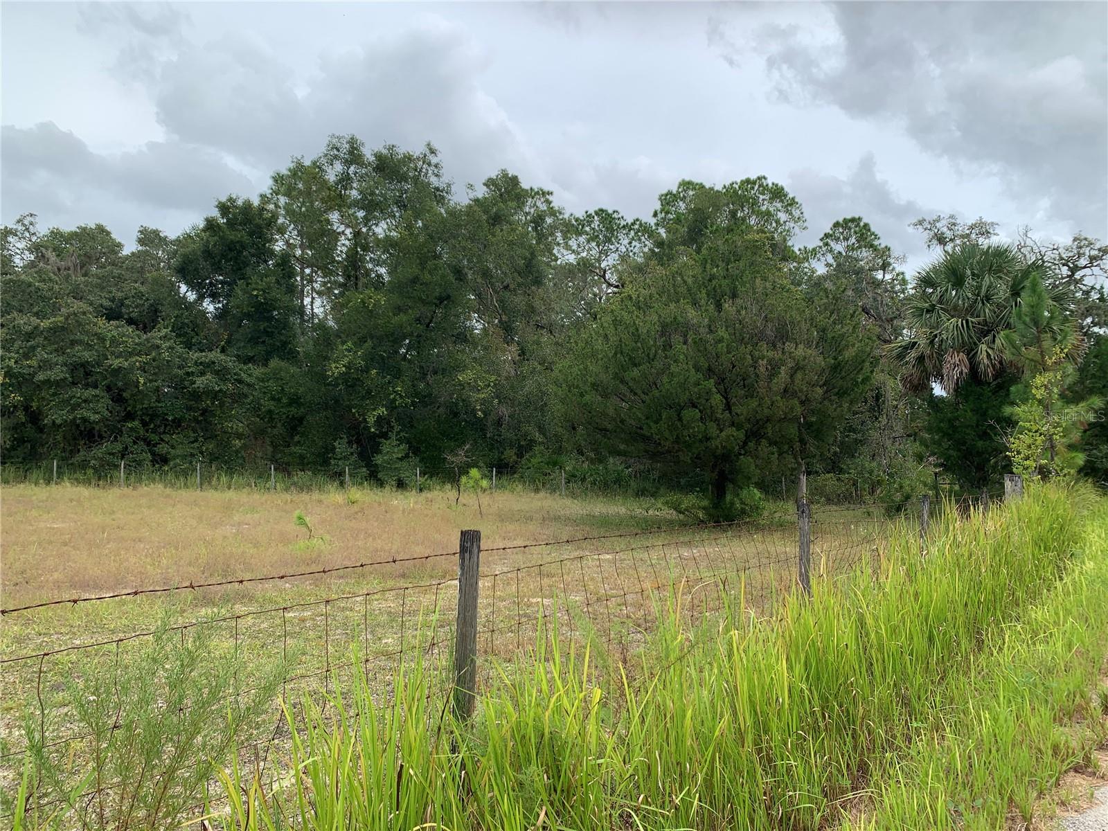 10425 E MOCCASIN SLOUGH ROAD, Inverness, FL 34450