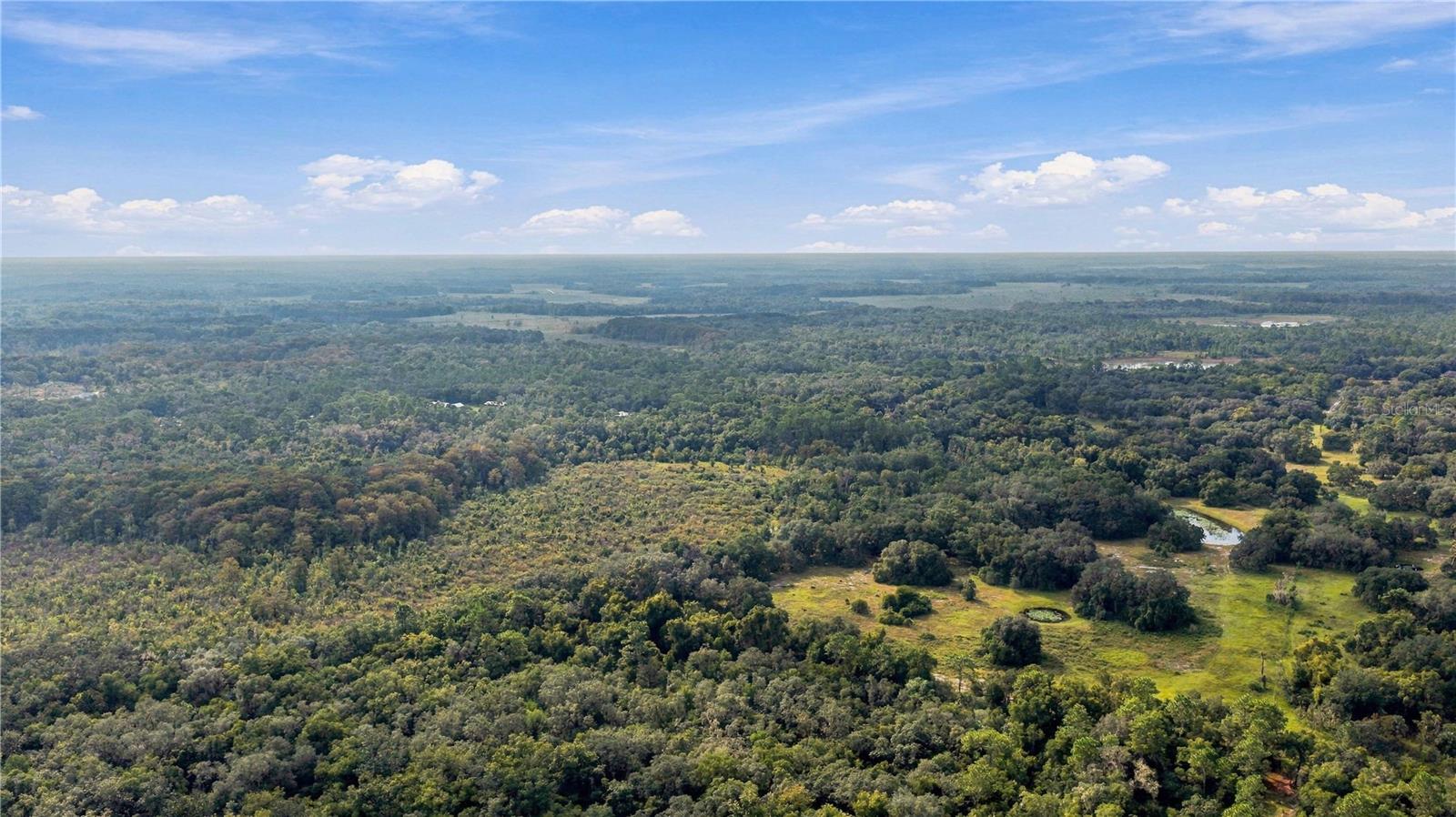 10425 E MOCCASIN SLOUGH ROAD, Inverness, FL 34450