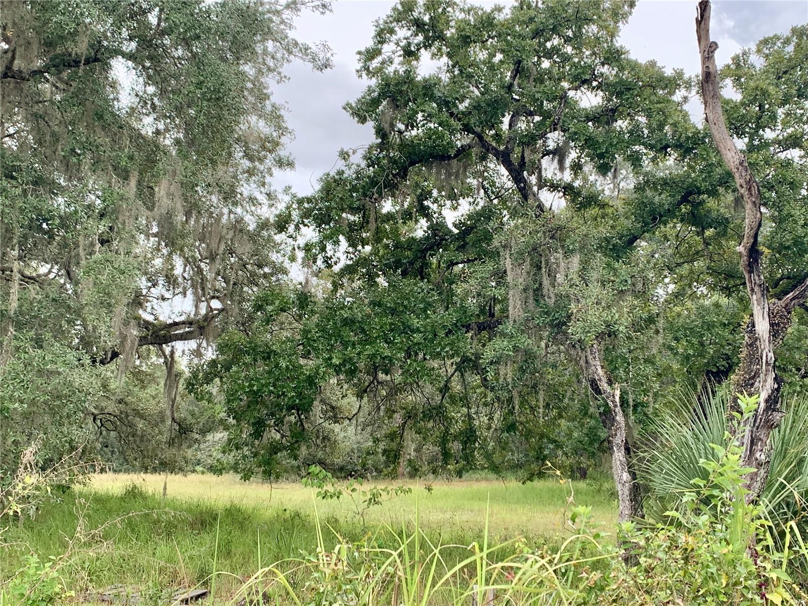 10425 E MOCCASIN SLOUGH ROAD, Inverness, FL 34450