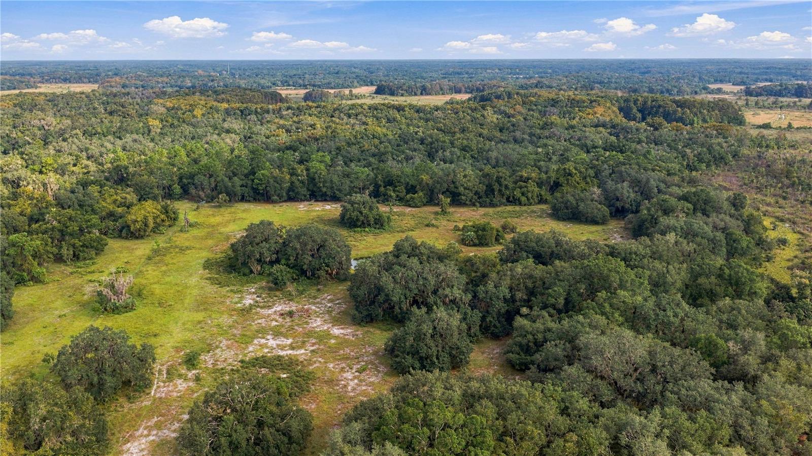 10425 E MOCCASIN SLOUGH ROAD, Inverness, FL 34450