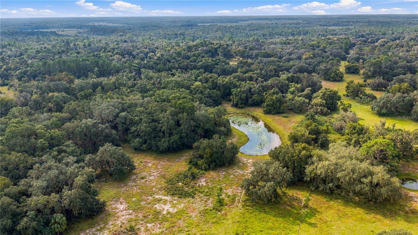 10425 E MOCCASIN SLOUGH ROAD, Inverness, FL 34450