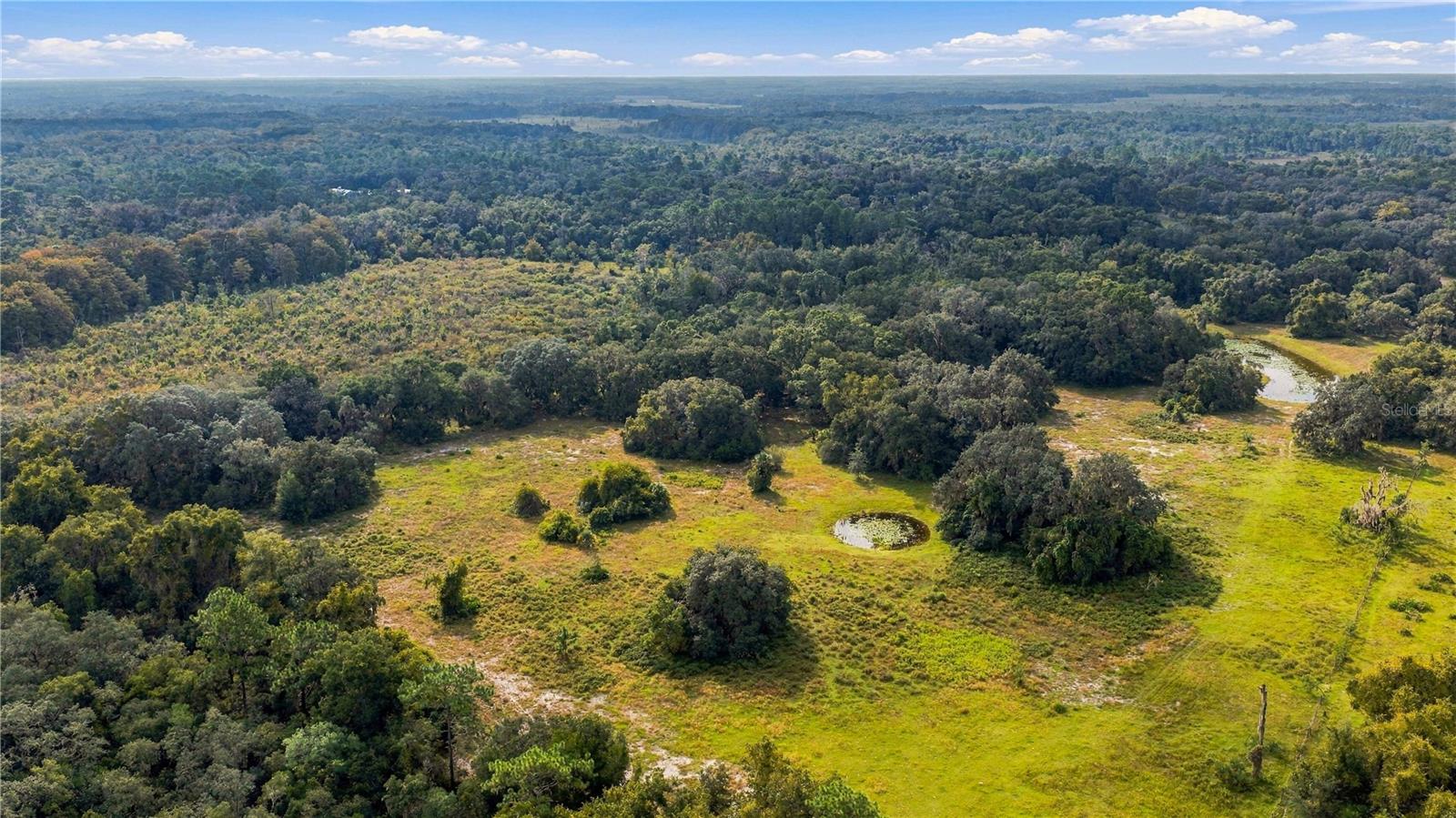 10425 E MOCCASIN SLOUGH ROAD, Inverness, FL 34450