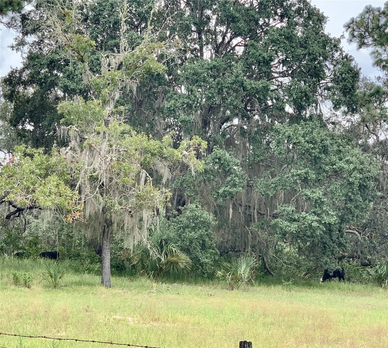 10425 E MOCCASIN SLOUGH ROAD, Inverness, FL 34450