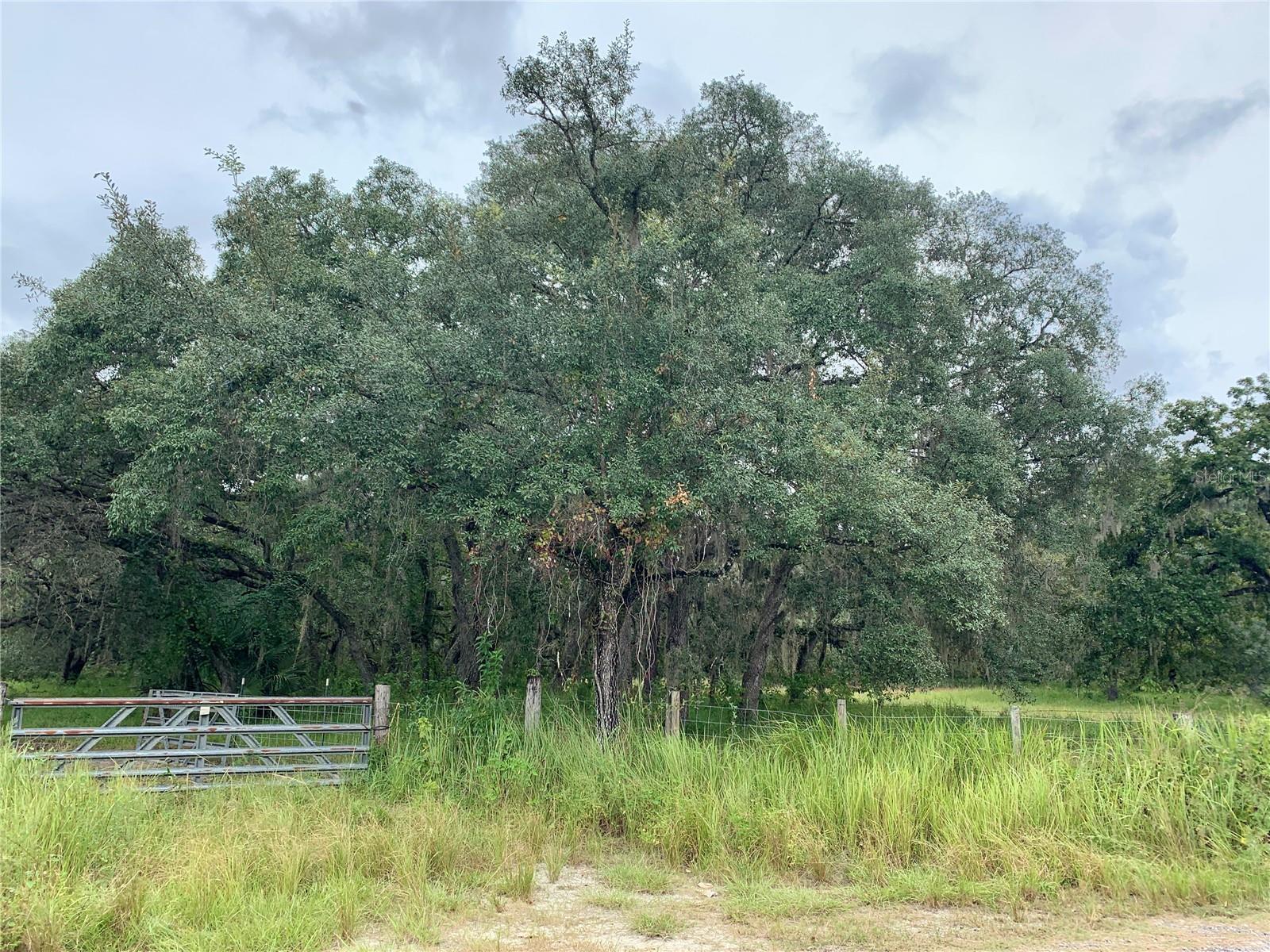 10425 E MOCCASIN SLOUGH ROAD, Inverness, FL 34450