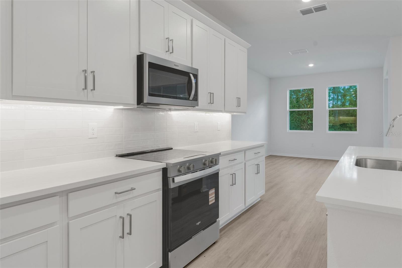 17572 VALLEYWOOD PARKWAY, Land O Lakes, FL 34638