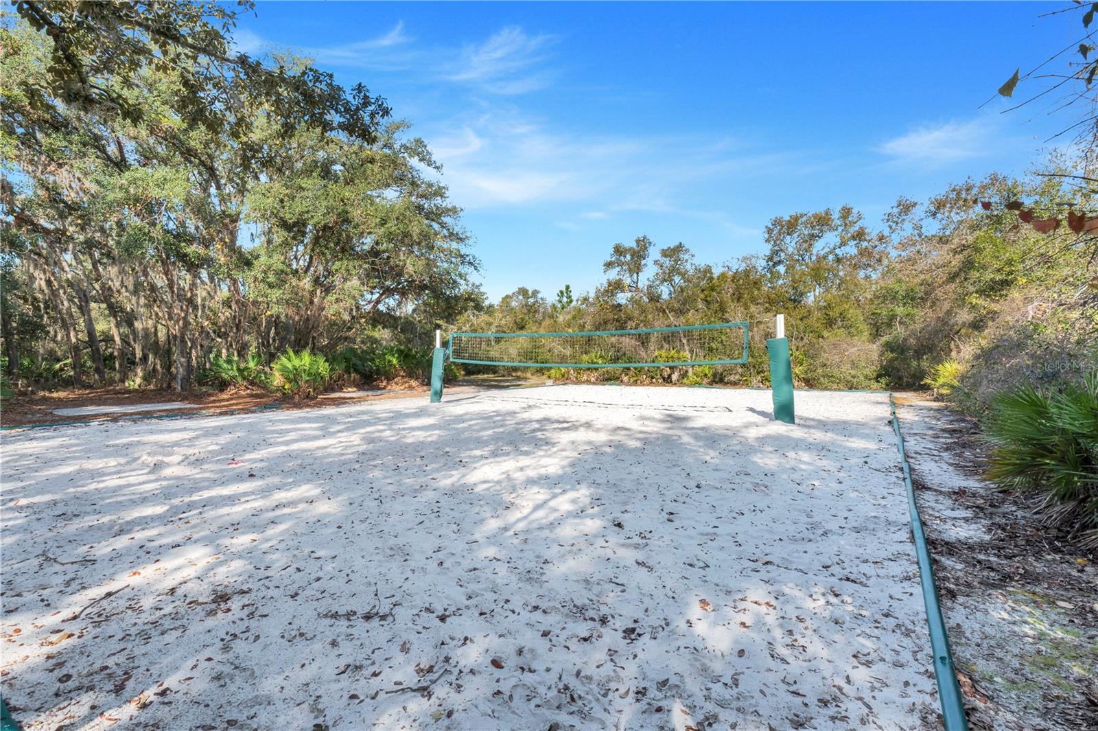 3892 FESCUE STREET, Clermont, FL 34714