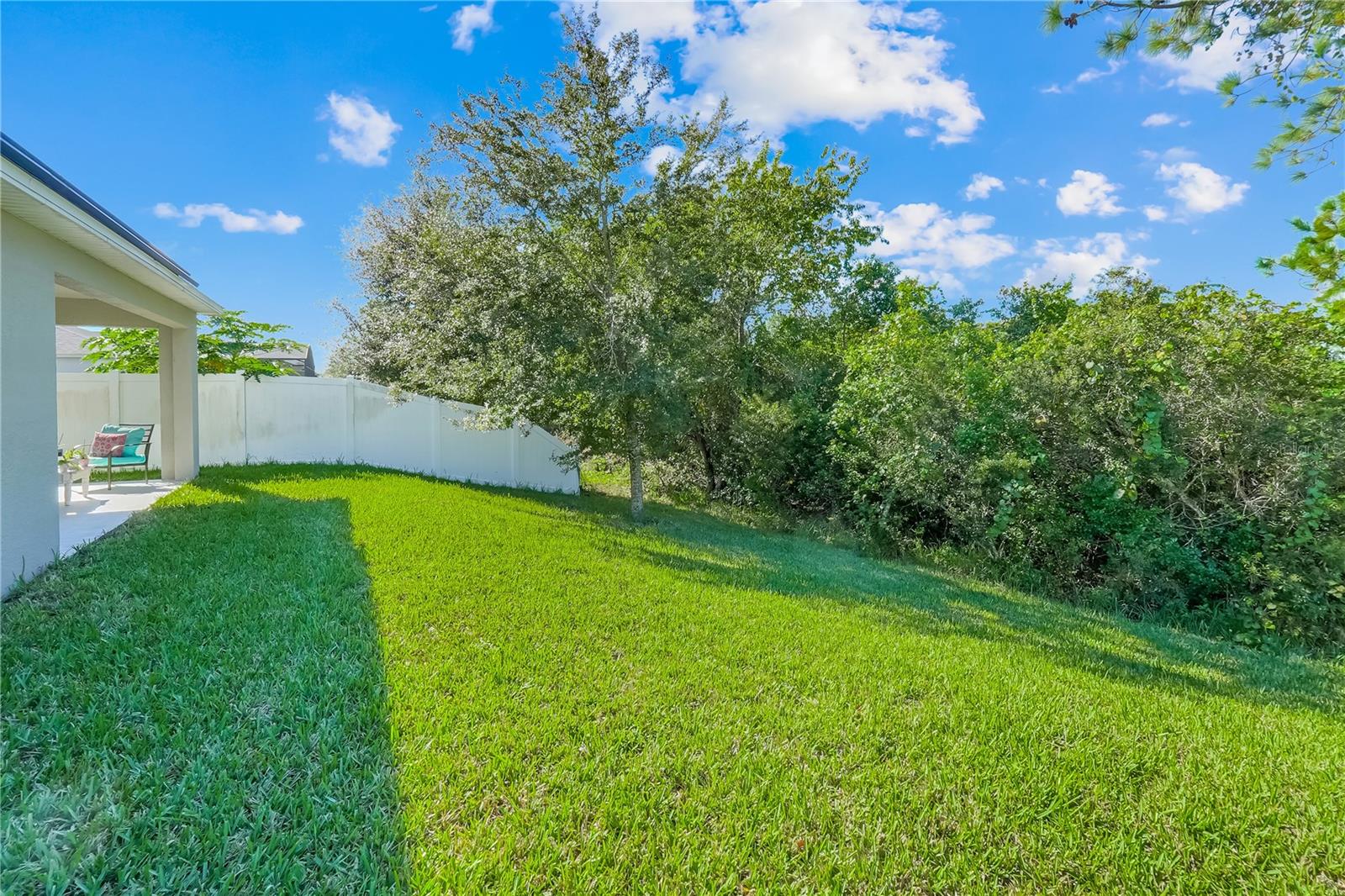 3892 FESCUE STREET, Clermont, FL 34714
