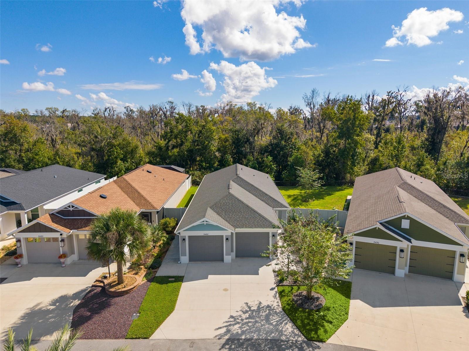 3486 PIPER PLACE, The Villages, FL 32163