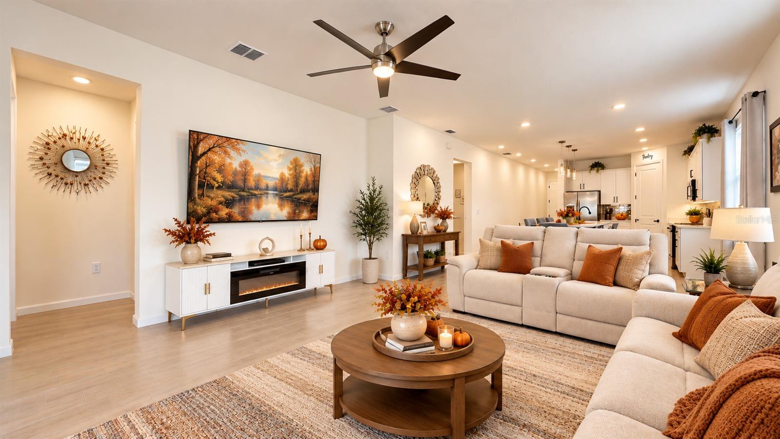Living room - television convey