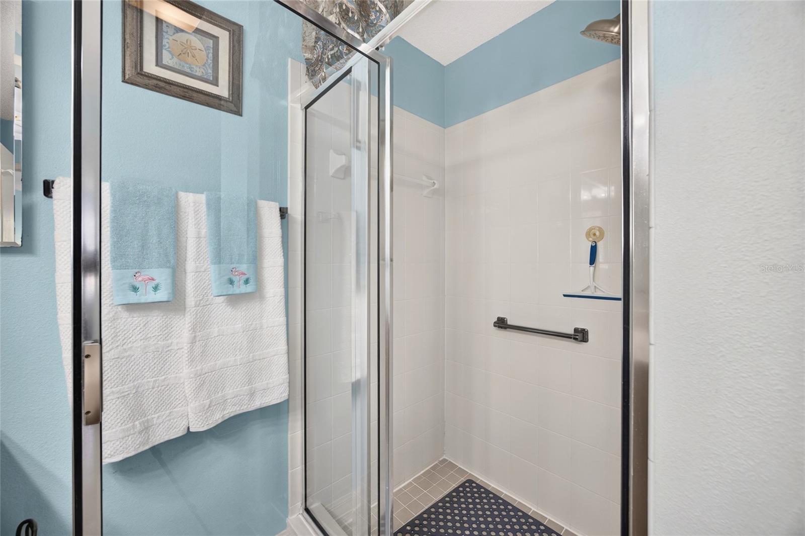 Primary Shower