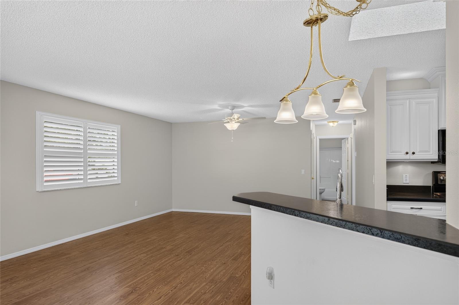 KITCHEN - Raised counter overlooks the adjoining living area.