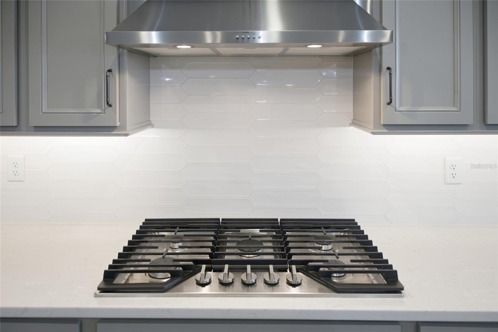 Beautiful Gas Range & Hood
