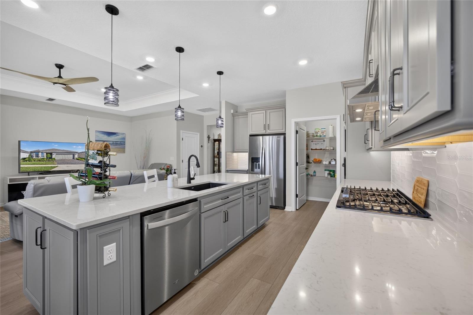 Quartz Countertops & Upgraded Cabinetry