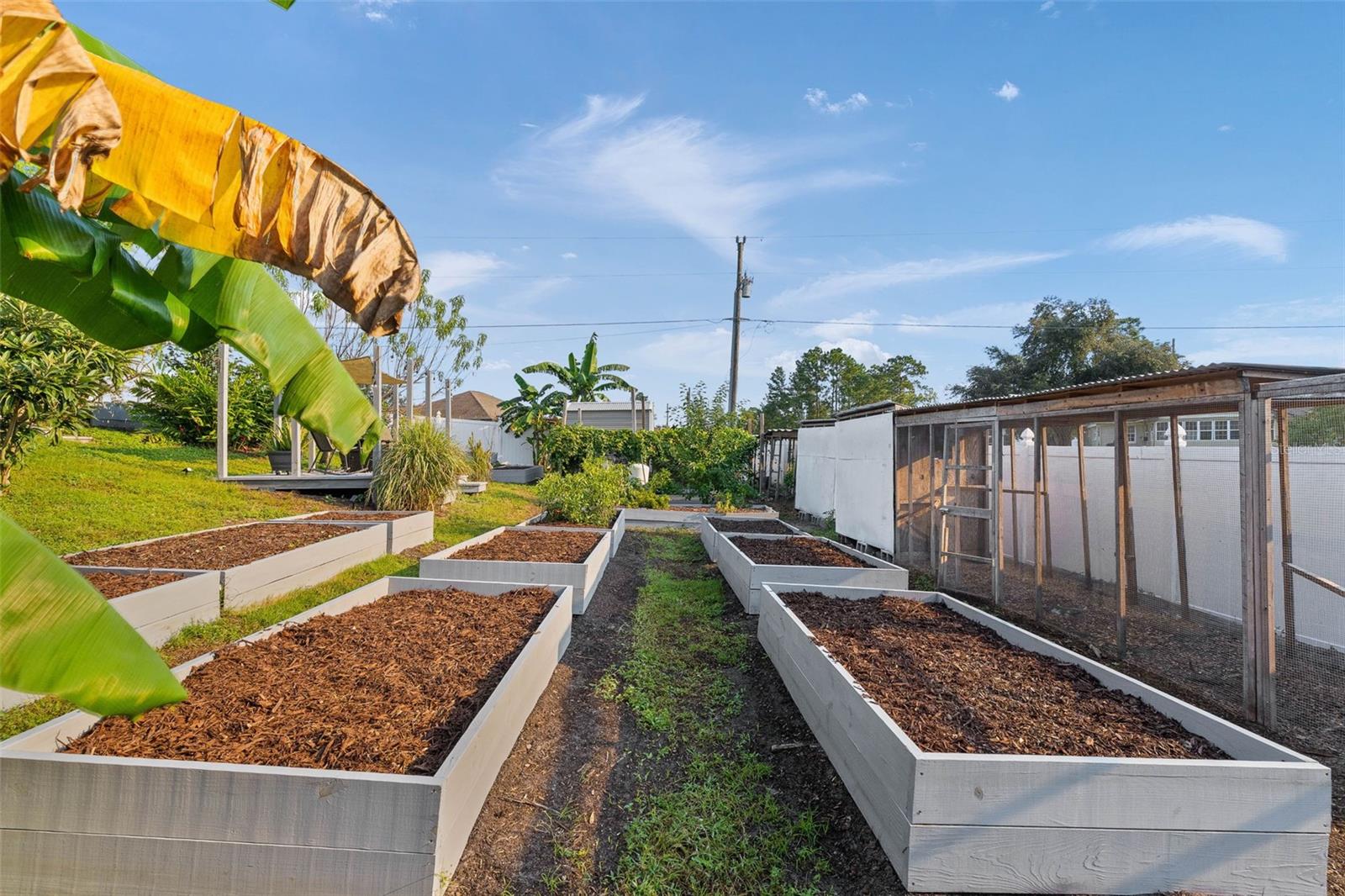 RAISED GARDEN BEDS