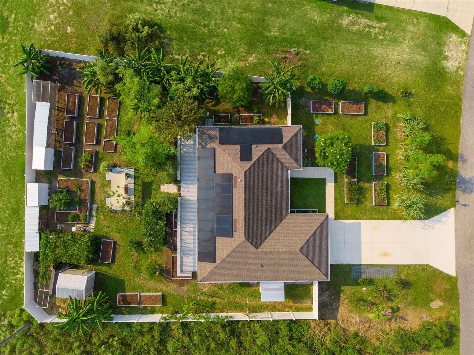 BACKYARD FOOD FOREST! BACKYARD FOOD FOREST!