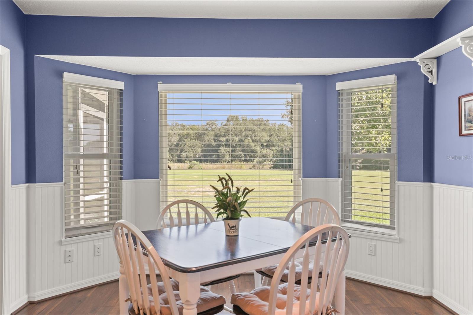 4704 RIVER RIDGE DRIVE, Leesburg, FL 34748