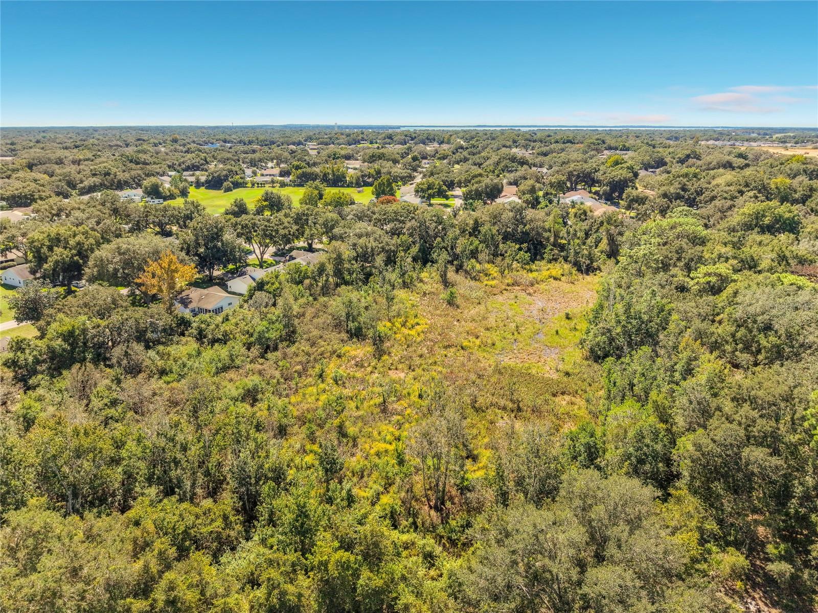 1706 ORKNEY DRIVE, Leesburg, FL 34788